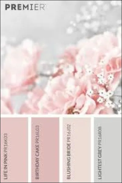 Quelle est ta couleur préférée ?