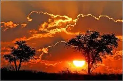 Quelle légende africaine raconte l'histoire d'un puissant roi lion nommé Mufasa et de son fils Simba, qui apprend les valeurs de courage, d'amitié et de responsabilité en grandissant dans les vastes plaines de la savane ?