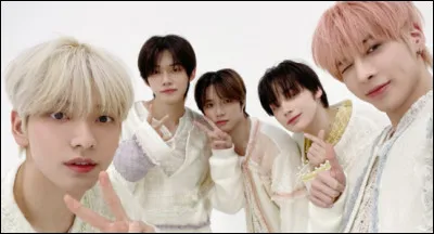 Si tu &eacute;tais dans un groupe, tu serais...