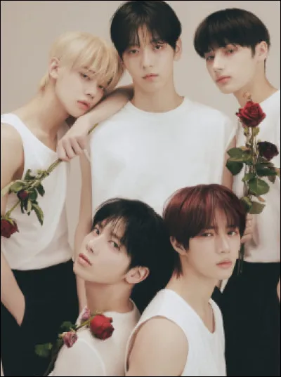 Quelle est ta saison pr&eacute;f&eacute;r&eacute;e ?