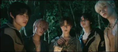 Parmi ces chansons laquelle est ta pr&eacute;f&eacute;r&eacute;e ?