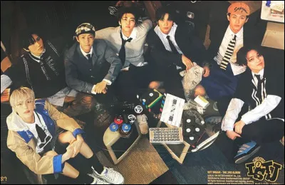 Si tu &eacute;tais dans un groupe, tu serais...