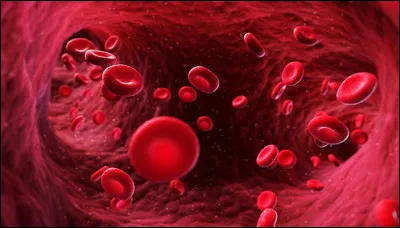 Parmi les 4 propositions, laquelle n'est pas un nom donné aux cellules représentées sur l'image ci-dessus ?