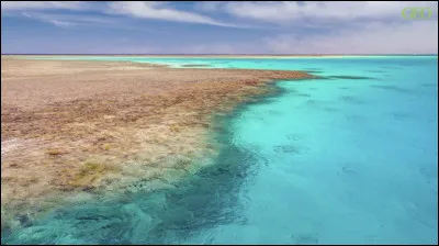 Parmi les 4 pays suivants, lequel ne peut pas accéder à la mer Rouge ?