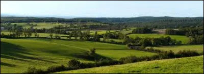 Quel est ce haut plateau cristallin, situé au centre du département, d'une altitude moyenne de 900 mètres et connu pour ses hivers rigoureux ?