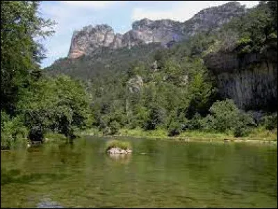 Quelle est cette rivière, longue de 71 km, qui prend sa source dans le massif du Lingas en bordure des Cévennes, coule vers l'ouest à travers des gorges entre les Causses et rejoint le Tarn à Millau ?