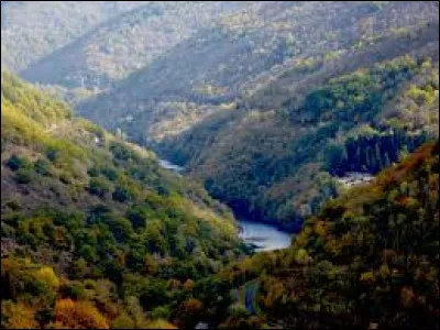 Quelle est cette rivière, longue de 160 km, qui prend sa source en Margeride et coule vers le sud-ouest pour rejoindre le Lot à Entraygues ?