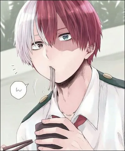 Quel est le nom de super-héros de Shoto ?