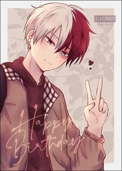 Quelle est la date danniversaire de Shoto ?