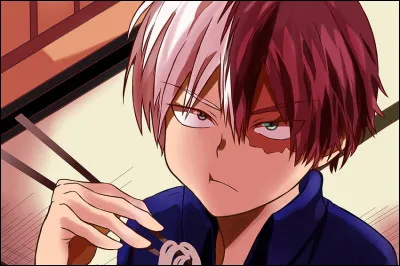 Quel est le plat préféré de Shoto ?