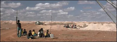 Quels animaux sont verts dans le titre de ce film de Werner Herzog ?