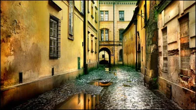 À quel chanteur doit-on le titre "Je suis né dans la rue" ?