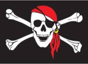 Quiz Les pirates en culture gnrale