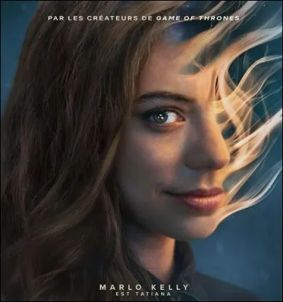 Une série Netflix est évoquée à travers ce poster. Laquelle ?