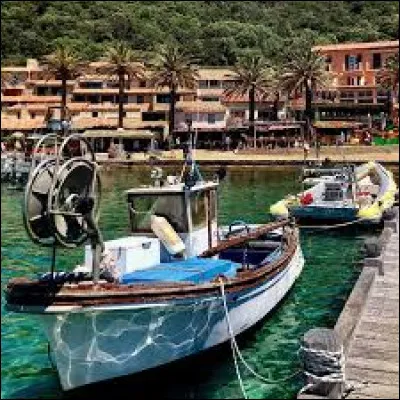 Le parc national de Port-Cros, dans les îles d'Hyères est le premier parc maritime européen :