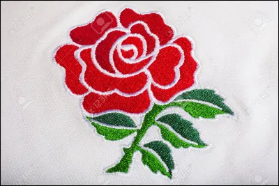 Le symbole de l'Angleterre est la rose présentée sur l'image.