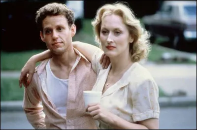Quel est ce film avec Meryl Streep, sorti en 1982 ?