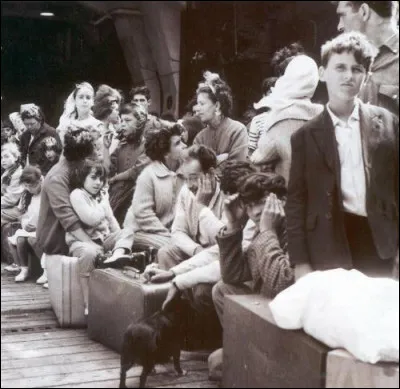 Quel est ce documentaire sorti en 2011 et retraçant le départ rapide et massif de 600 000 Pieds-Noirs d'Algérie à partir de 1962 ?