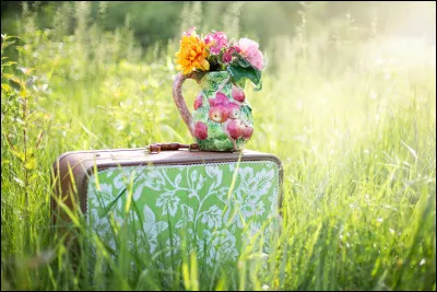 Comment est la valise dont l'usage est très réglementé ?