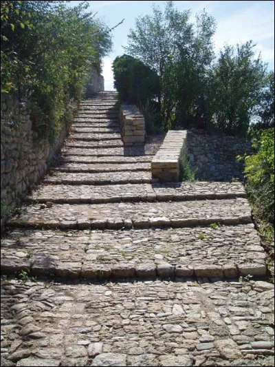 Quel est ce type d'escalier ?