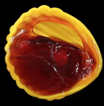 Quelle est cette confiserie en R de sucre cuit, coulée dans une coquille naturelle où en plastique que l'on suçe ?