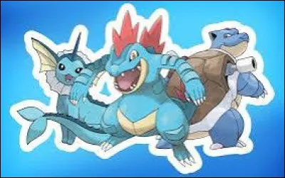 Quel Pokémon préfères-tu entre ceux-ci ?