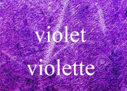 Quiz Violet, violette