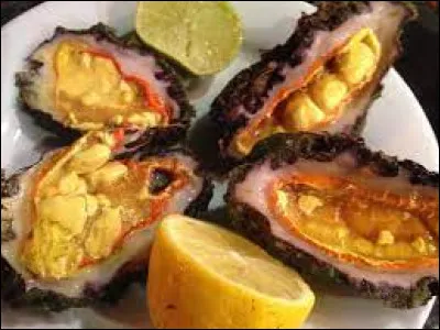 Quel est l'autre nom du ''violet'', animal marin ?