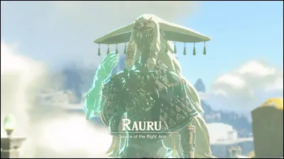 Pourquoi Rauru a-t-il remplacé le bras de Link ?