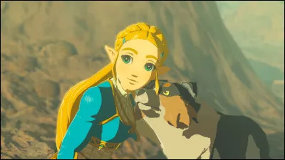 À cause de quoi (ou qui) Zelda se retrouve-t-elle dans le passé ?