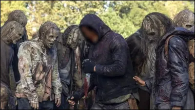 Qui est le personnage dont le visage est flouté sur l'image ?