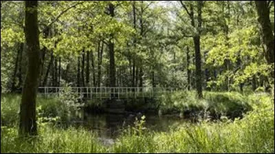 L'endroit le plus haut de mon territoire, se situe dans la forêt domaniale de Saint-Michel, près de la ville d'Hirson, au lieu-dit ''La Réserve''. Quel est mon point culminant ?
