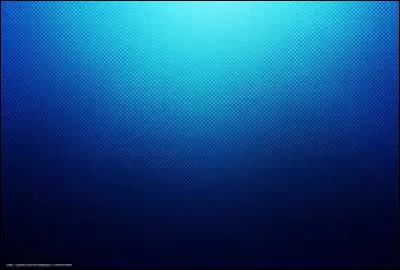 Comment es-tu ? Suite