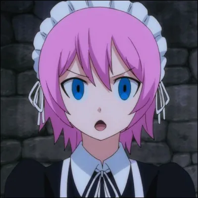 Comment se nomme cet esprit, qui, comme Aquarius, appartient à une jeune femme de la guilde ?