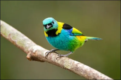 On creuse pour trouver mon premier, mon second n'est pas chaud, mon troisième sépare deux mots, c'est à l'oeil que vous avez mon tout !