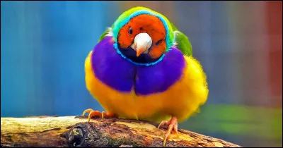 Mon premier est issu du Languedoc, on s'assoit sur mon second, mon troisième n'est pas frais, mon tout dépend des circonstances !