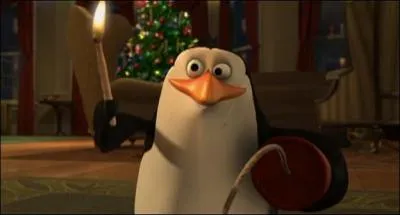 Originaire du film Madagascar, quel est son nom ?