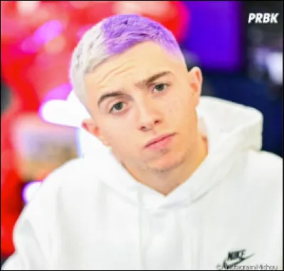 Quelle est la couleur préférée de Michou ?