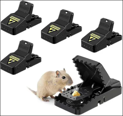 Et le mot ''ariptolème'', quelle est sa signification ?