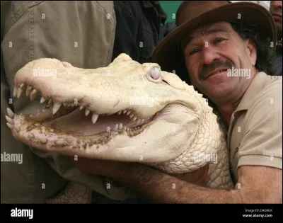 As-tu déjà fait la danse "aligato" ?