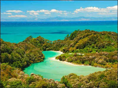 Quelle est la monnaie de la Nouvelle-Zélande ?