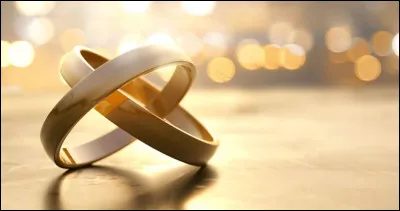 Quand la loi du mariage homosexuel a-t-elle été votée en France ?