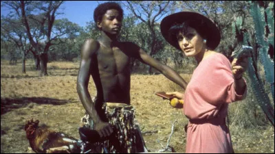 Dans le film de Jamie Uys, sorti en 1980, "Les Dieux sont tombés sur la tête", quelle chose tombée du ciel vient semer la zizanie dans une tribu ?