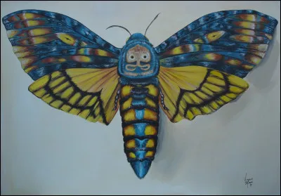 Quel est le nom de ce papillon ?