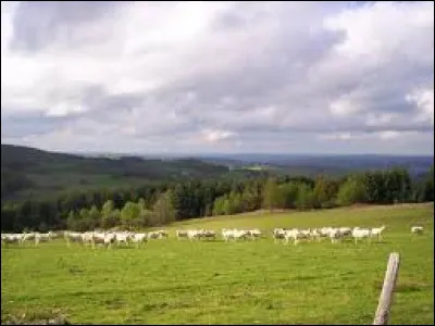 Quelle est cette région naturelle, haut plateau granitique, qui s'étend sur le quart sud du département ?