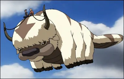 Quel est ton animal favori ?