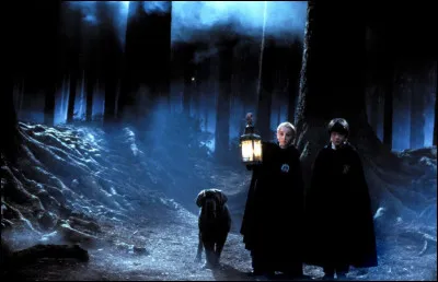 Quelle est la fonction principale du sang de licorne ?