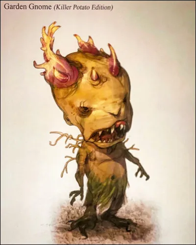 Qu'est-ce qu'un gnome ?