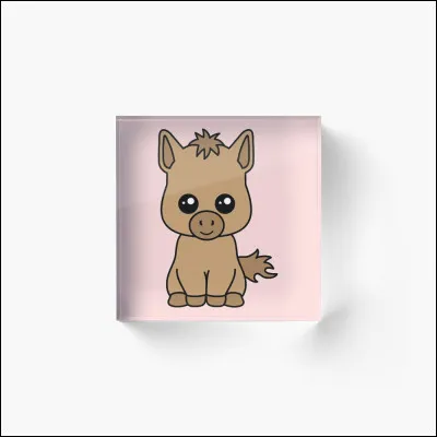 Quel est cet animal ?