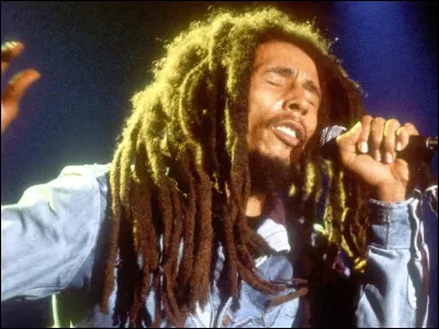 Quel est le nom de sa coiffure ?